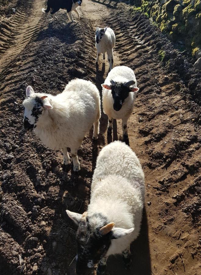 Shadow River Farm Anascaul Dış mekan fotoğraf